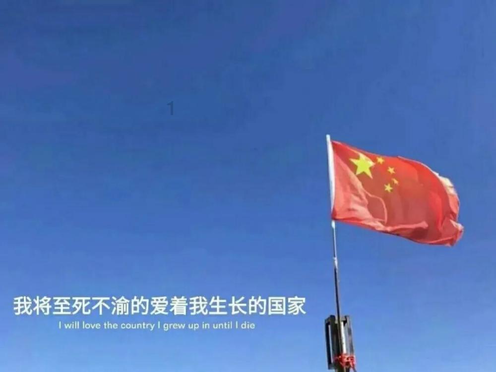 小猫钓鱼开船版最新版下载